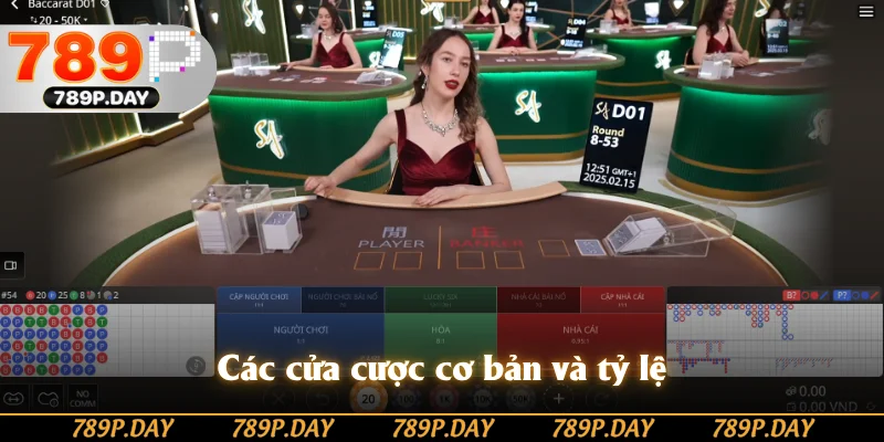 Các cửa cược cơ bản và tỷ lệ Các cửa cược cơ bản và tỷ lệ