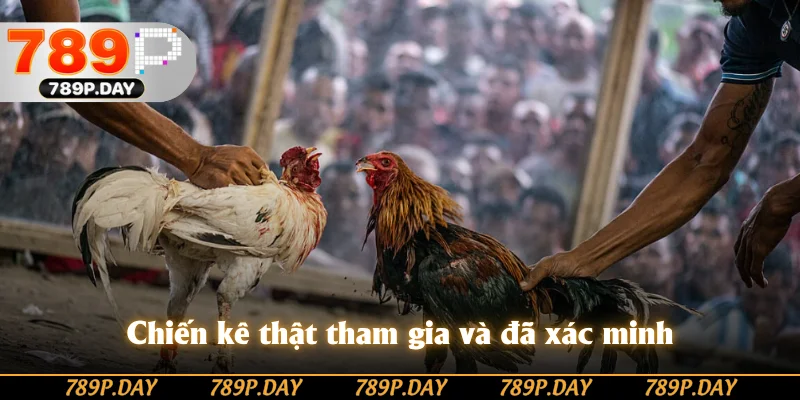 Chiến kê thật tham gia và đã xác minh Chiến kê thật tham gia và đã xác minh