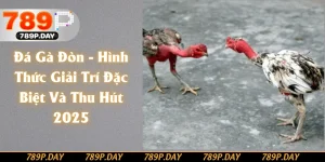 Đá Gà Đòn - Hình Thức Giải Trí Cá Cược Đặc Biệt Và Thu Hút 2025