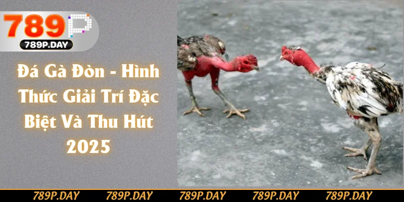 Đá Gà Đòn - Hình Thức Giải Trí Cá Cược Đặc Biệt Và Thu Hút 2025