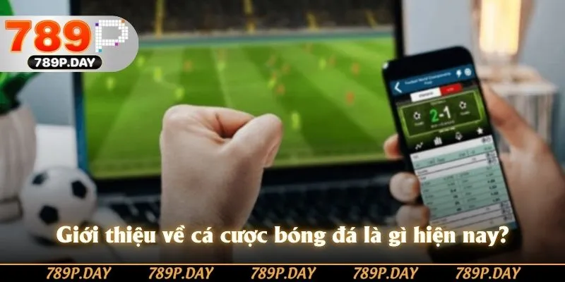 Giới thiệu về cá cược bóng đá là gì hiện nay? Giới thiệu về cá cược bóng đá là gì hiện nay?
