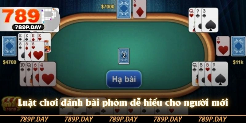 Luật chơi đánh bài phỏm dễ hiểu cho người mới Luật chơi đánh bài phỏm dễ hiểu cho người mới