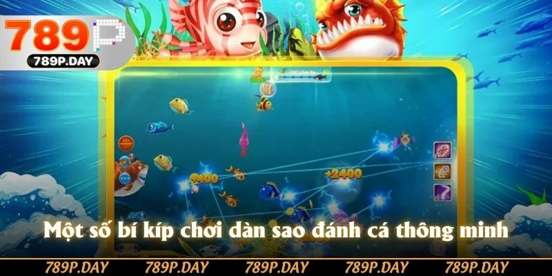 Một số bí kíp chơi dàn sao đánh cá thông minh Một số bí kíp chơi dàn sao đánh cá thông minh