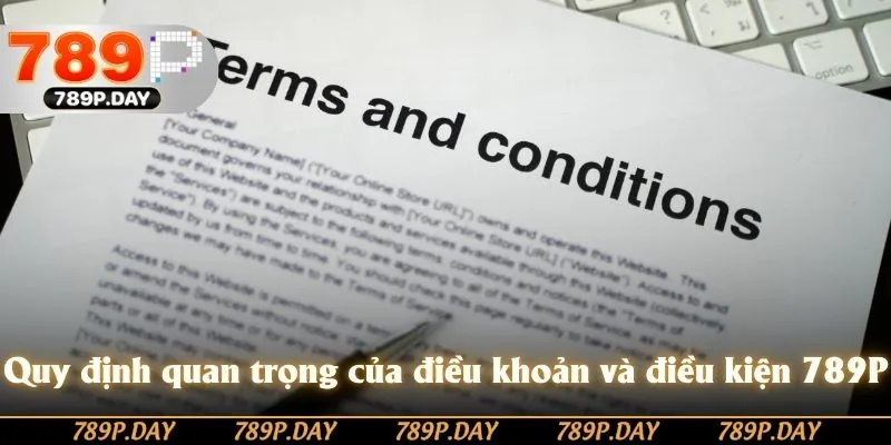 Nội dung cốt lõi của điều khoản và điều kiện 789P Nội dung cốt lõi của điều khoản và điều kiện 789P