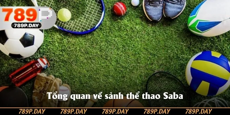 Giới thiệu tổng quan về sảnh cược Saba 789P Giới thiệu tổng quan về sảnh cược Saba 789P