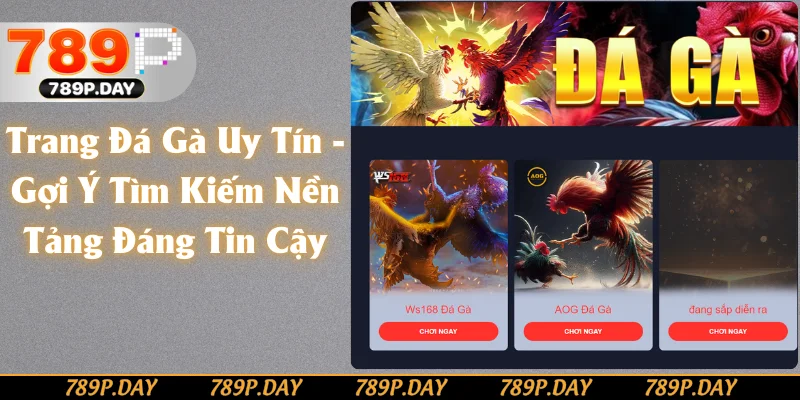 Trang Đá Gà Uy Tín - Gợi Ý Tìm Kiếm Nền Tảng Đáng Tin Cậy
